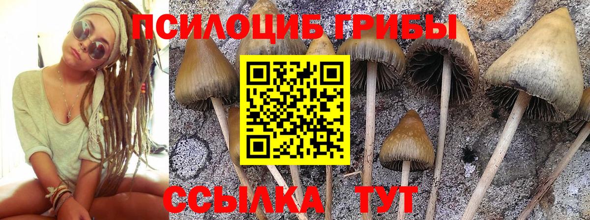 Галлюциногенные грибы прущие грибы Протвино