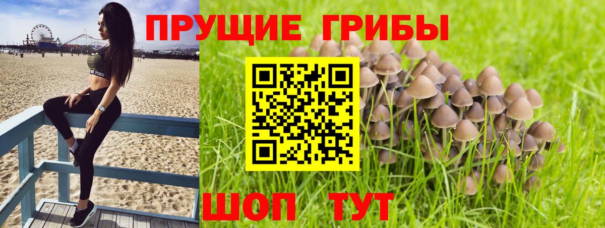 Протвино  Галлюциногенные грибы мухоморы  Вход с VPN 